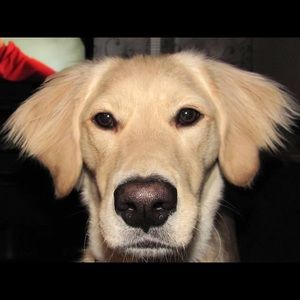 Meet your Posher, Judy